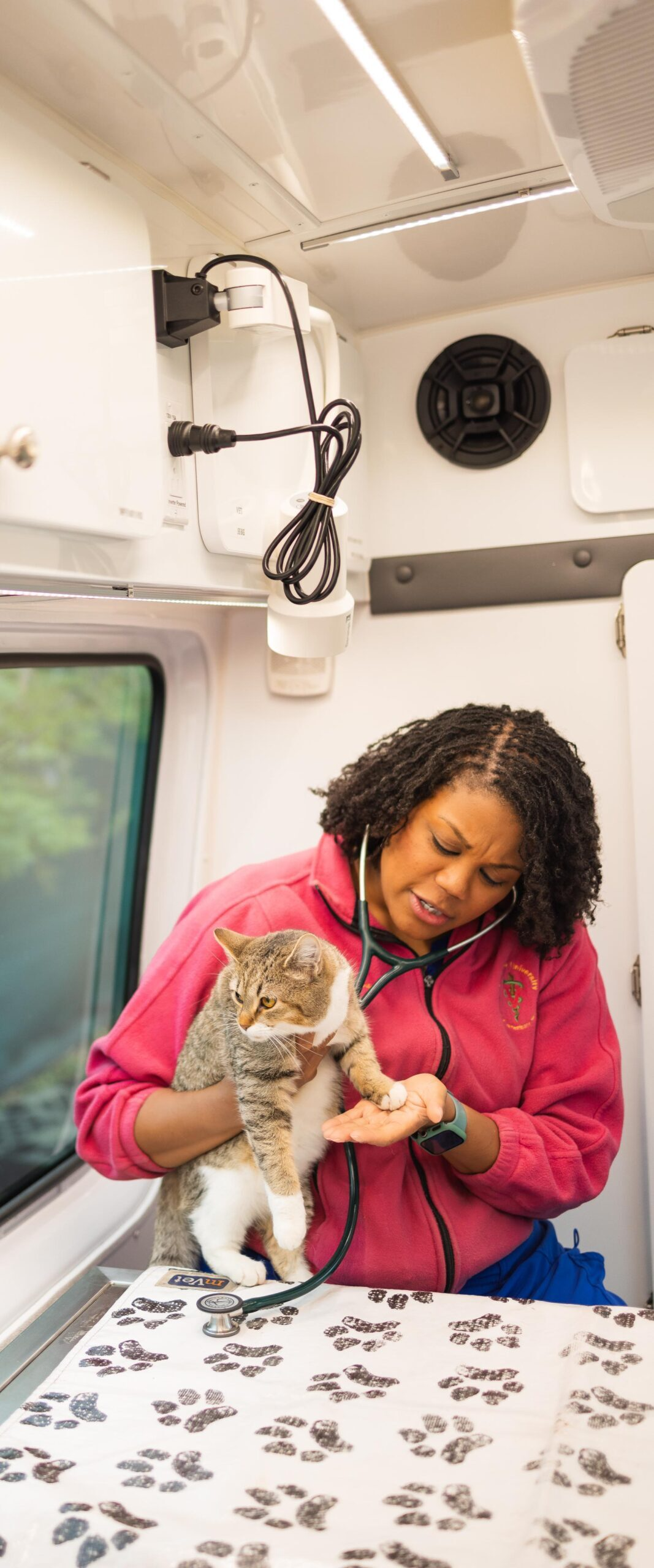 Woman holding a cat
